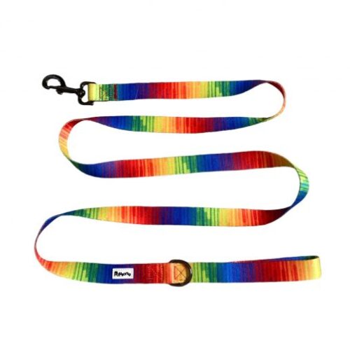 Pawsome - Full Spectrum of Love Dog leash