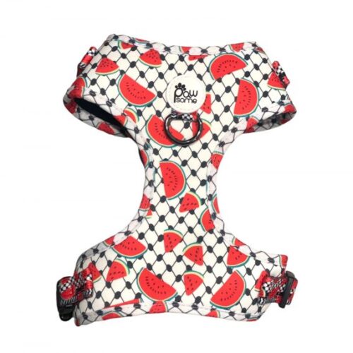 Pawsome - Pali Pet with Watermelon Harness