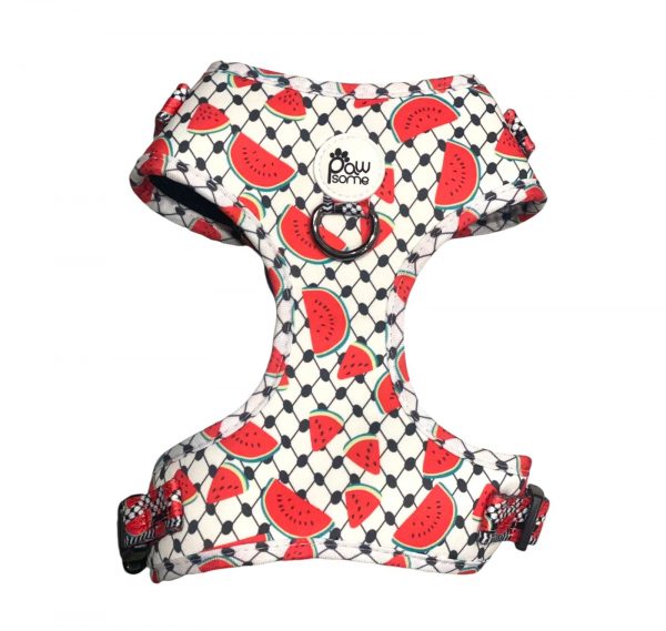 Pawsome Pet UAE Pali Pet watermelon Dog Harness