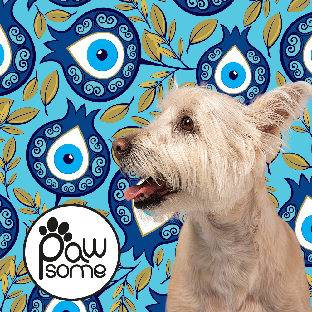 pom-eye.png