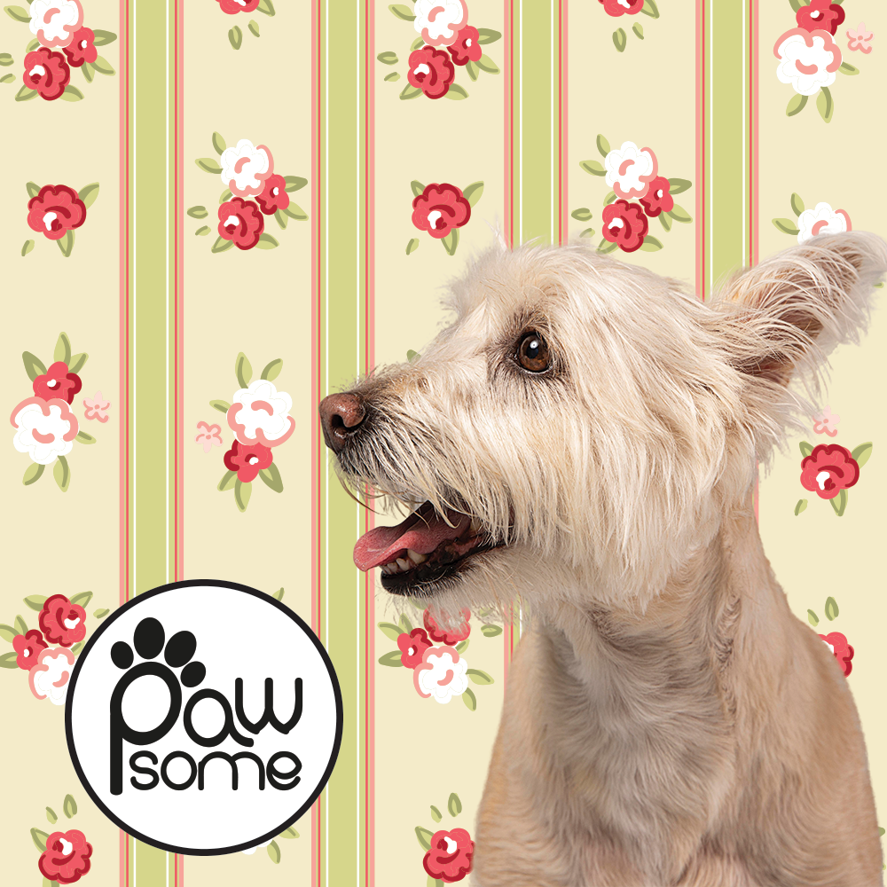 wall-paper.png