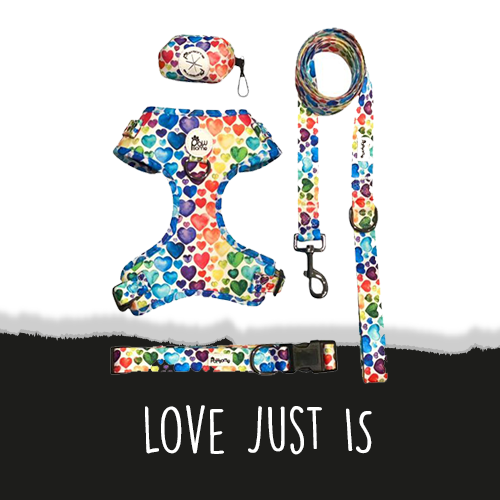 Love Just is