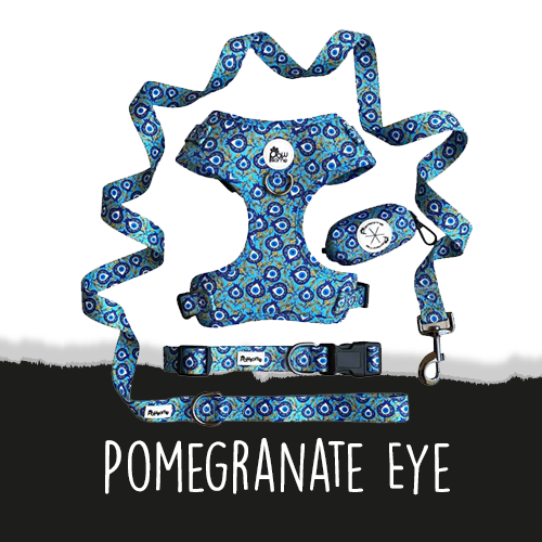 Pomegranate Eye