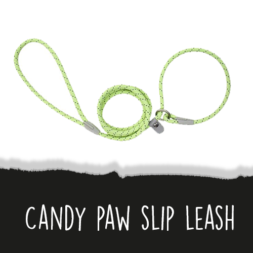Candy Paw Slip Leash
