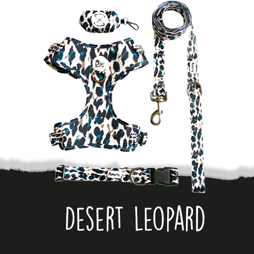 Desert Leopard