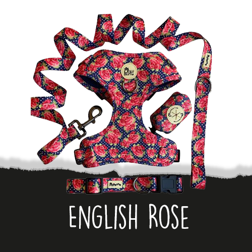English Rose Collection