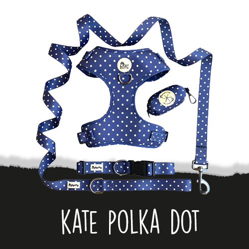 Pawsome - Kate Polka Dot