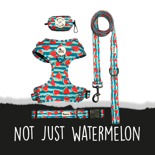 Not just a Watermelon