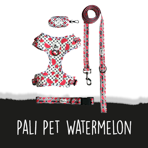 Pali Pet Watermelon
