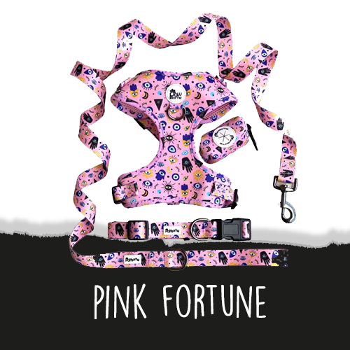 Pink Fortune