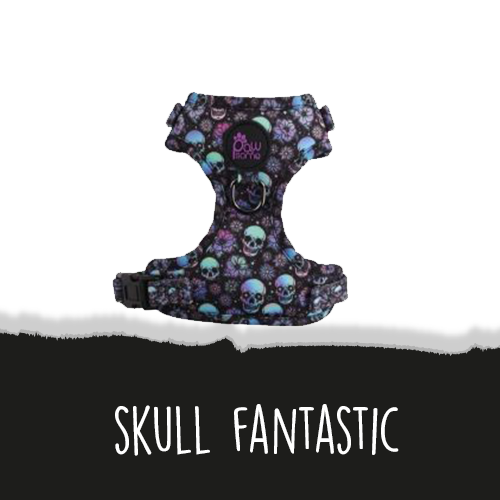 Skull Fantastic