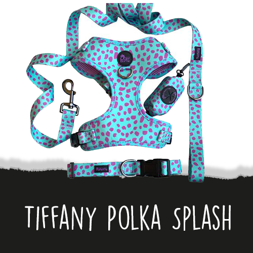 Tiffany Polka Splash