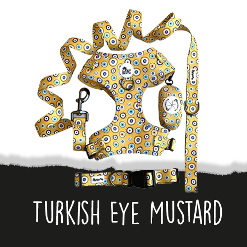 Turkish Eyes (Mustard)
