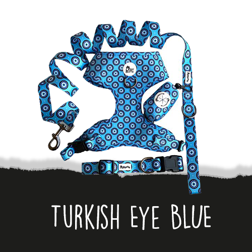 Turkish Eyes BLUE