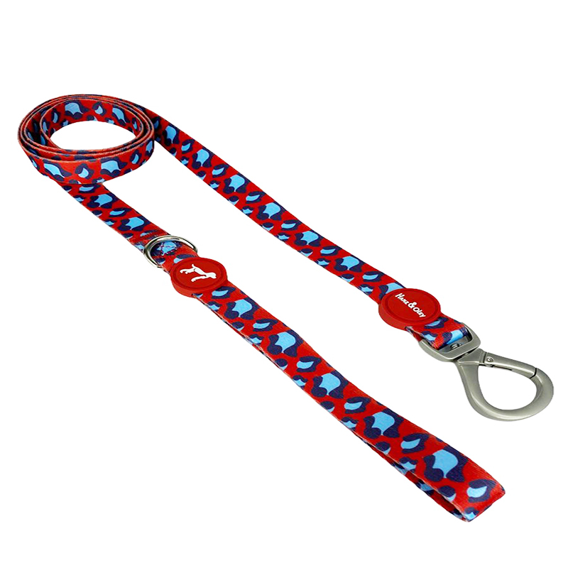 leo-love-leash.jpg