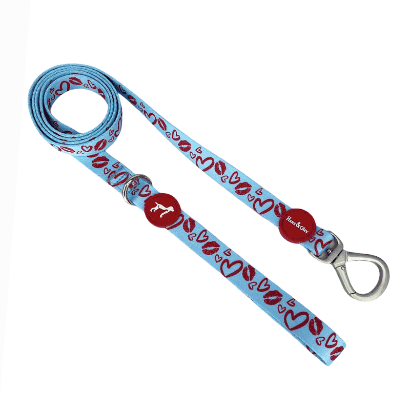 smoochy-leash.gif