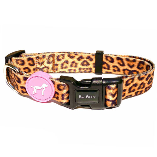 Hanz & Oley - Wild Thing 24 Collar