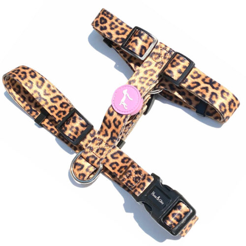 Hanz & Oley - Wild Thing H Harness 24