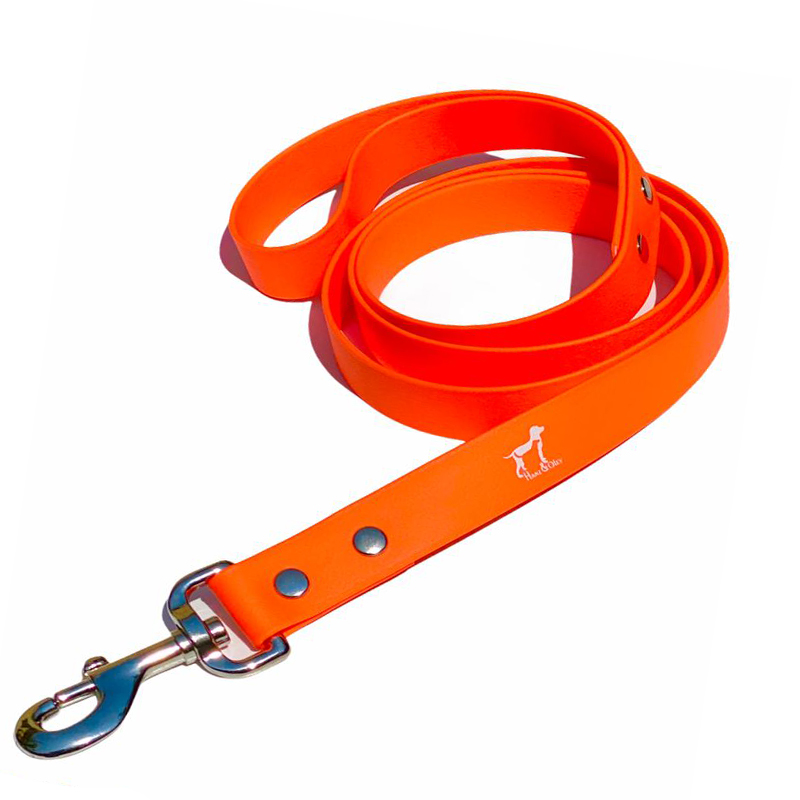 orange-leash-1.jpg